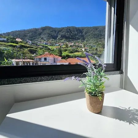 Oasis - Mountainview *